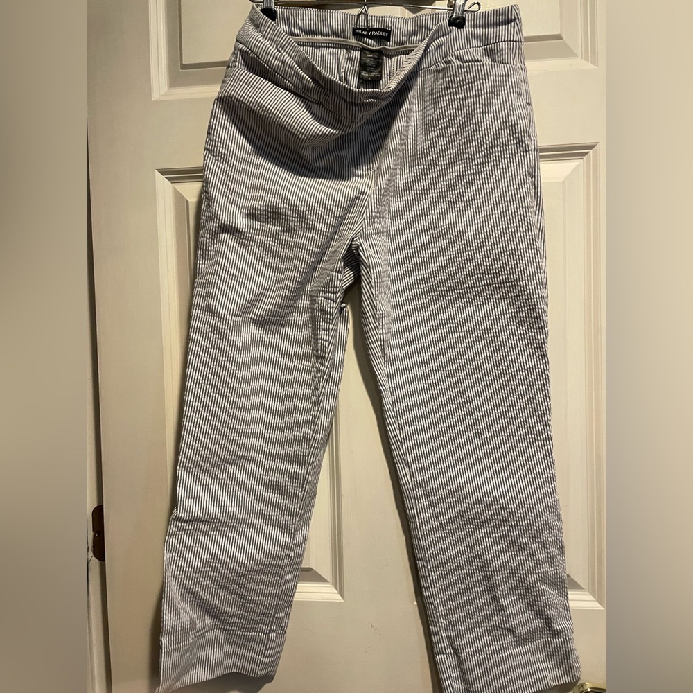Hilary Radley Striped Blue and White Pants